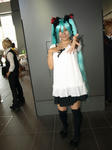 090906-cosmode-37.jpg