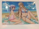 090926-AGF-item-1.jpg