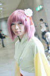 091012-torefes-cos-6.jpg