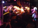 091025-carap-13.jpg