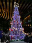 091203-gunturi-1.jpg