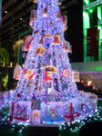 091203-gunturi-4.jpg