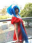 091227-zensyo-5.jpg
