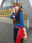 091229-C77Cos-3-21.jpg