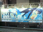 100119-akiba-2.jpg