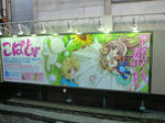 100119-akiba-3.jpg