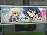 100119-akiba-8.jpg