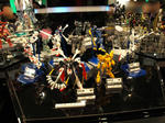 100206-tamasi-54.jpg
