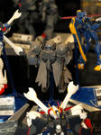 100206-tamasi-55.jpg