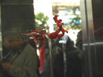 100206-tamasi-15.jpg