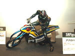 100206-tamasi-65.jpg