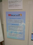 100224-summer-2.jpg