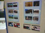 100224-summer-5.jpg