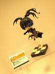 100325-TAF2010-33.jpg