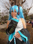 100325-mitocmk-38.jpg