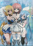 100328-himari-2.jpg