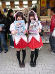 100328-himari-7.jpg