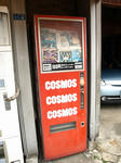 100401-cosmos-3.jpg