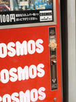 100401-cosmos-4.jpg