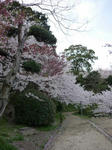 100407-konpira-4.jpg