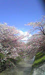 Image023.jpg