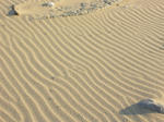 風が強くて砂まで波打ってました。
