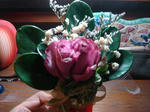 DSC07244-1.jpg