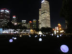 DSC01371-1.jpg
