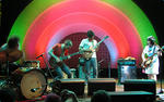 deerhoof