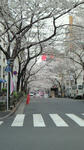 201003311010000.jpg