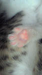 201004281449000.jpg