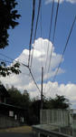 201005271252001.jpg