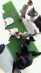 201006011806000.jpg