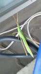 201008020940000.jpg