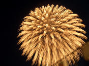 天王グリーンランドまつり2005花火_1