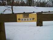 冬の動物園（大森山動物園）_7