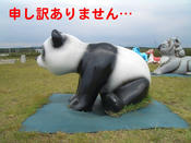 土下座するパンダ