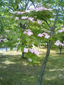 生態系公園_1