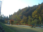 抱き返り渓谷(紅葉2006)_4