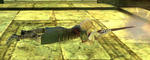 5856134b.jpg