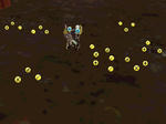 capture_00826.jpg