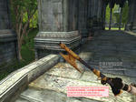 w_WareWolfs_Rifle_2.jpg