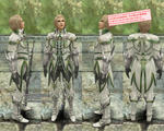 c_Tempest_of_the_Chaos-Male.jpg
