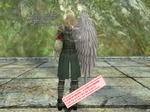 b_A_Broken_Angel_Wing.jpg