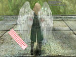 b_Crystal_Wing.jpg