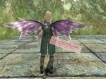 b_Violet_Chrysalis_wing.jpg
