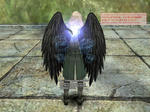 b_Ziz_Wing.jpg