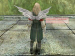 b_White_angel_wing.jpg