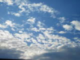DSCF0255.jpg