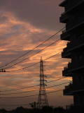 DSCF0276.jpg